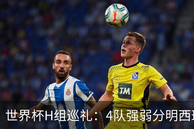 世界杯H组巡礼：4队强弱分明西班牙冲冠 佛得角首次亮相